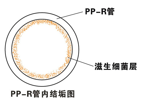 PP-R滲氧，易滋生細菌，有異味；腐蝕金屬連接件，降低使用壽命